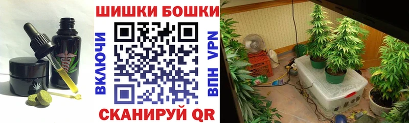 Cannafood конопля  Купить закладки  Новотроицк 