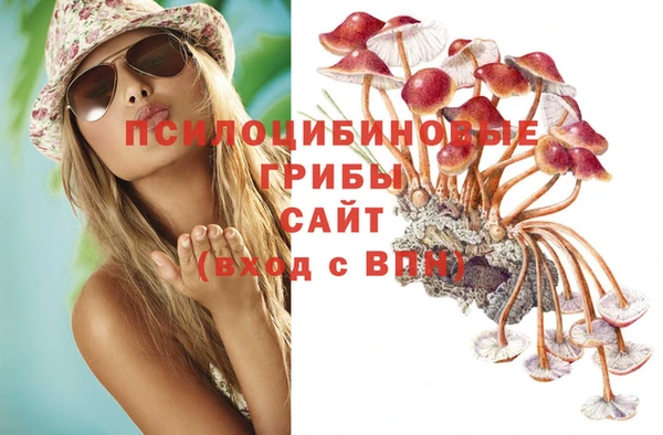 гидропоника Горнозаводск