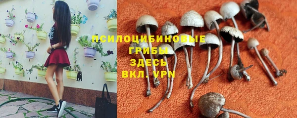 кокаин колумбия Гусев