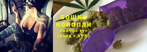 2c-b Гусиноозёрск