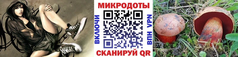 Галлюциногенные грибы Psilocybe  Купить закладки  Новотроицк 